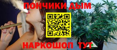 гашик Волгодонск